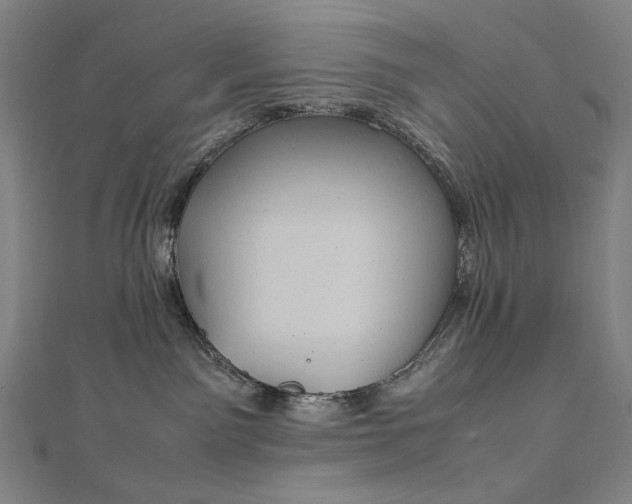 X0000112770141200909031618