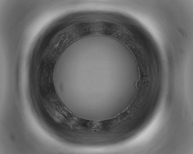 X0000112770143200909031618