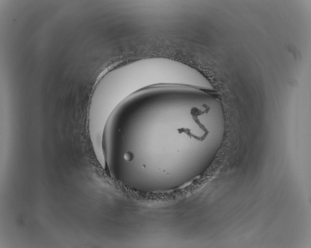 X0000112770144200909031618