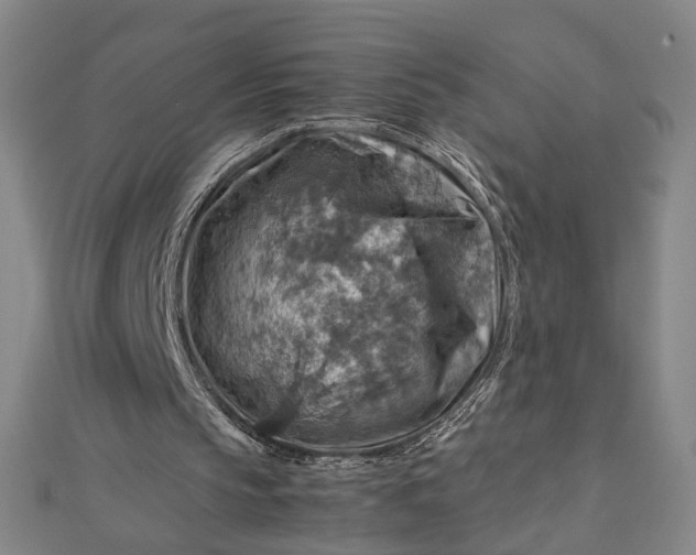 X0000112770145200909031617