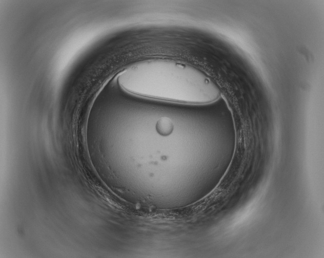 X0000112770146200909031617