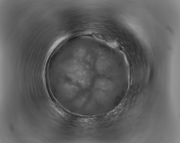 X0000112770147200909031617