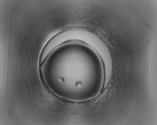 X0000112770148200909031617