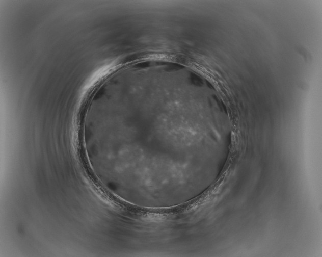 X0000112770149200909031617