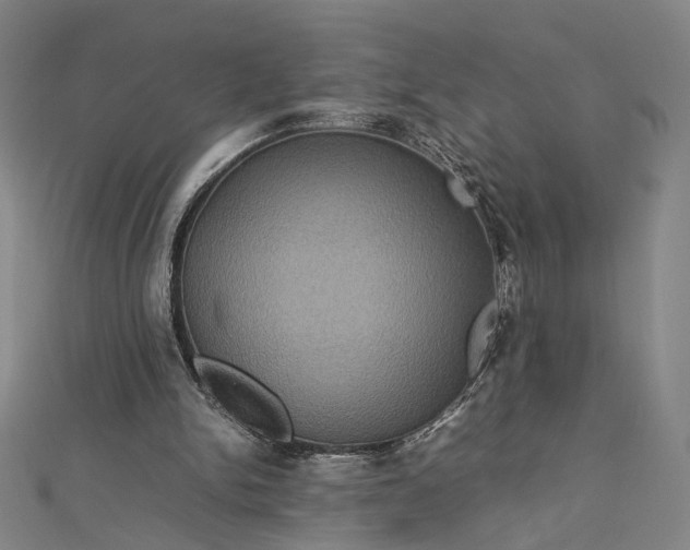 X0000112770150200909031617