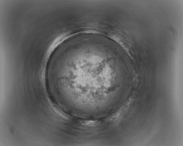 X0000112770151200909031617