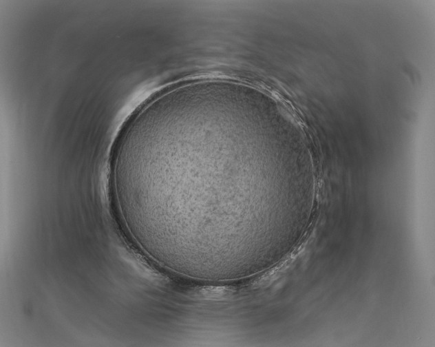 X0000112770152200909031617