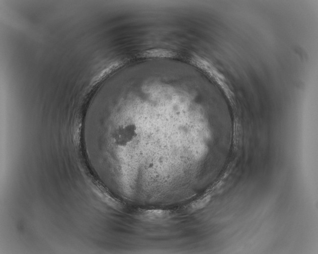 X0000112770153200909031617