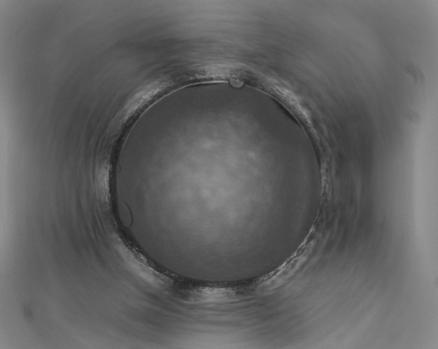 X0000112770154200909031617