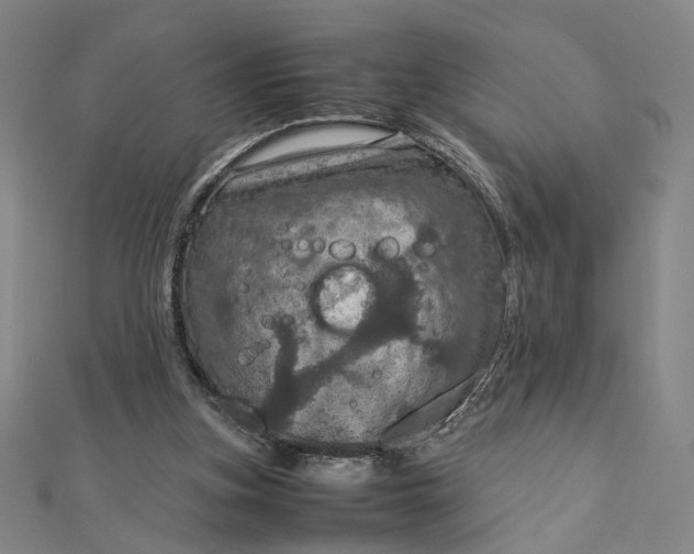 X0000112770155200909031617