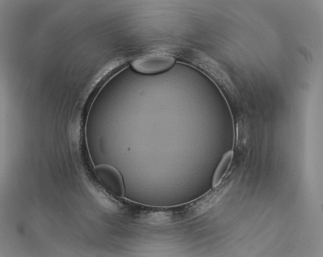 X0000112770156200909031617