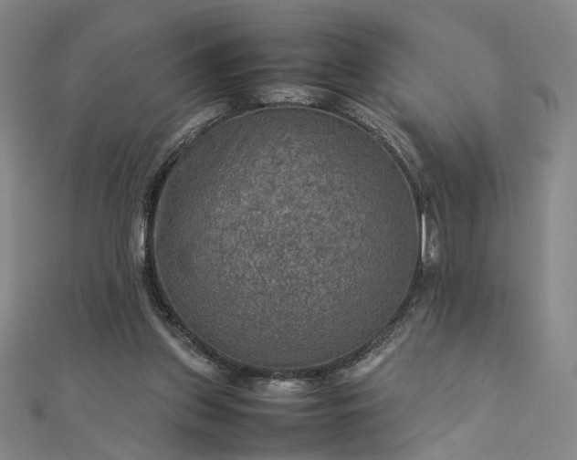 X0000112770157200909031617