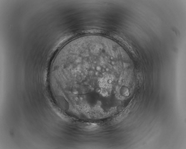 X0000112770159200909031617