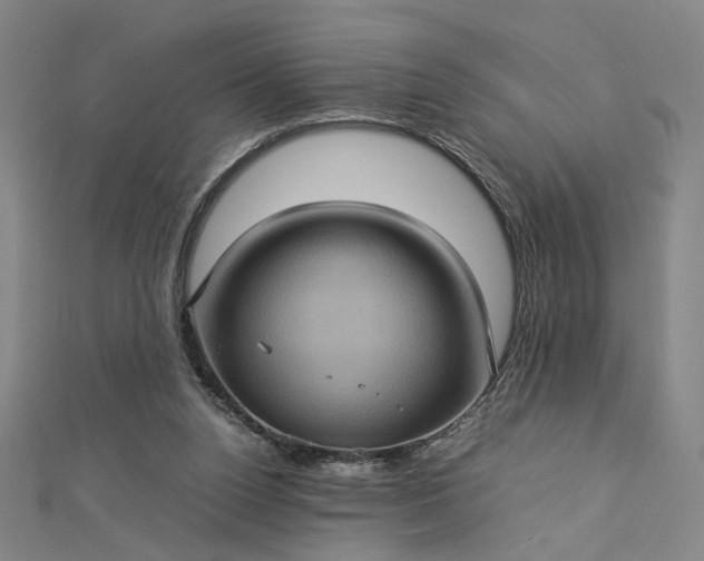 X0000112770160200909031617