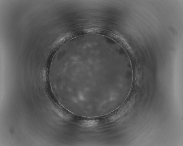 X0000112770161200909031617