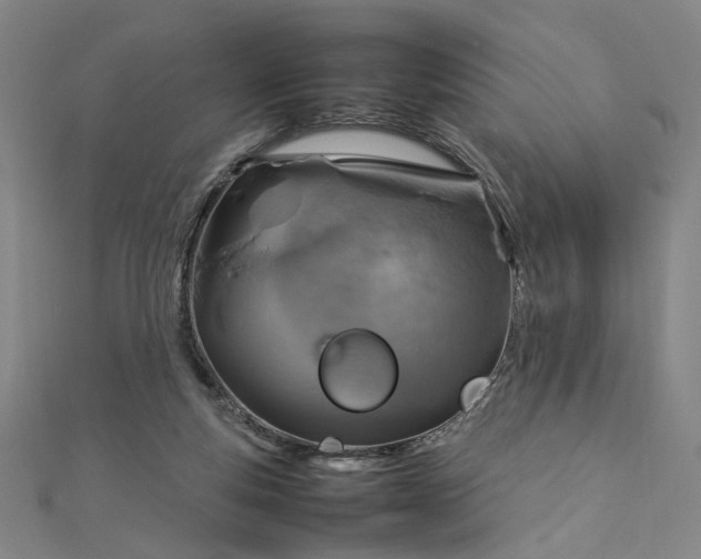 X0000112770163200909031617