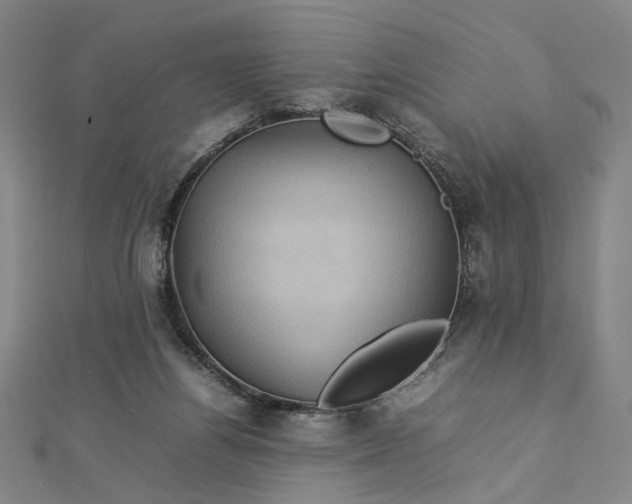 X0000112770164200909031617