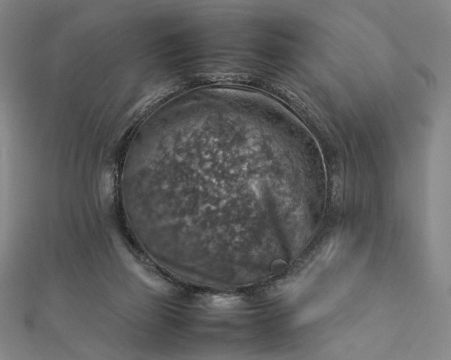 X0000112770165200909031617