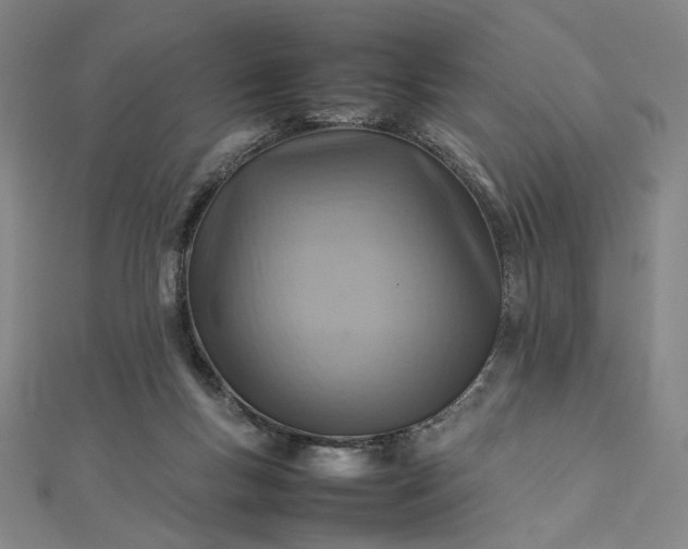 X0000112770167200909031617