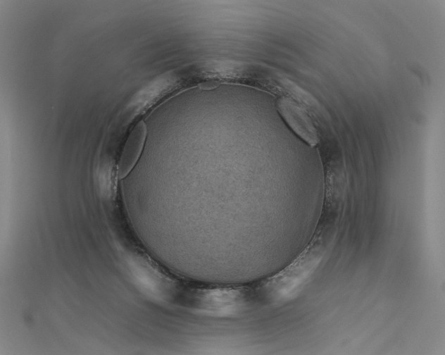 X0000112770168200909031617