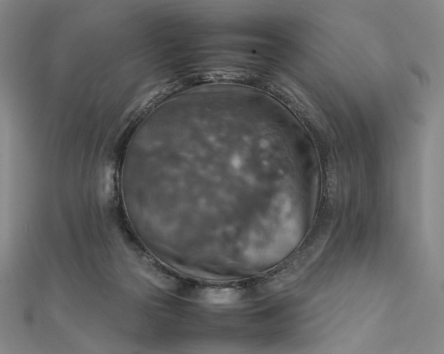 X0000112770169200909031617