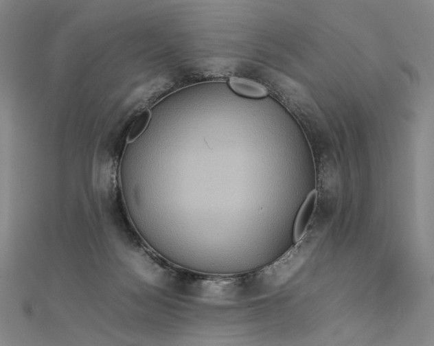 X0000112770172200909031617