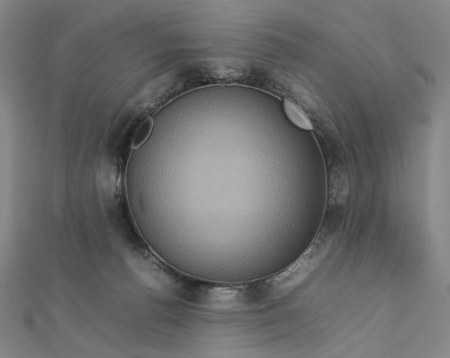 X0000112770176200909031617