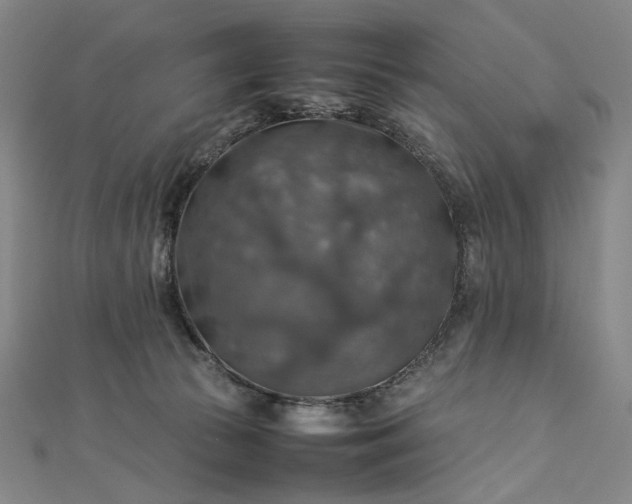 X0000112770177200909031617