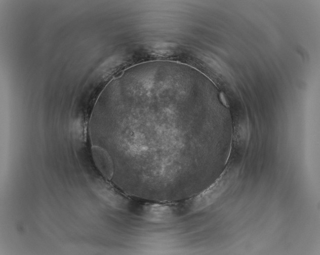 X0000112770180200909031617