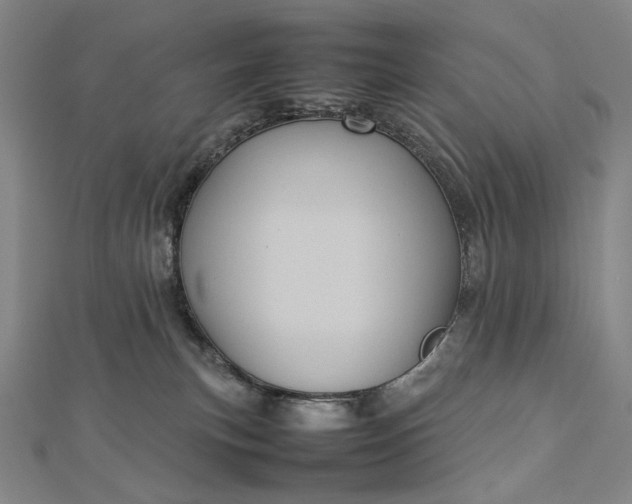 X0000112770183200909031617