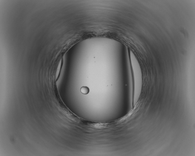 X0000112770184200909031617