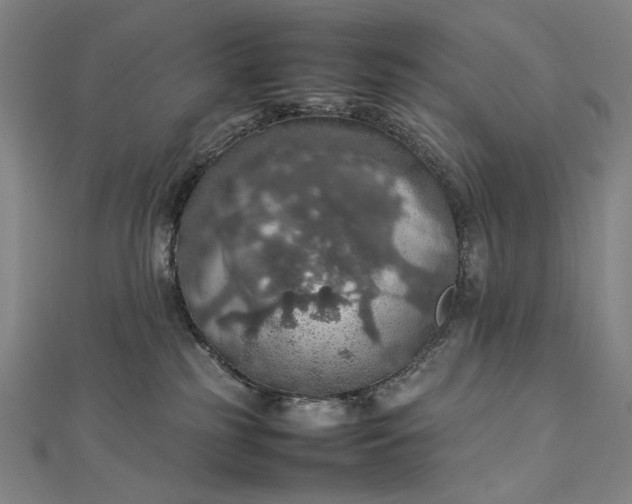 X0000112770185200909031617