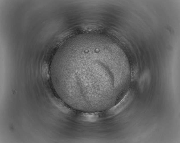 X0000112770187200909031617