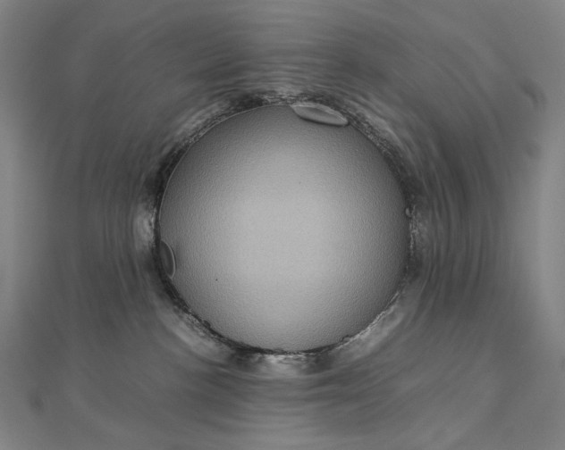 X0000112770188200909031617