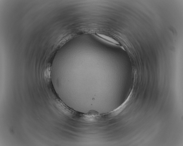 X0000112770190200909031617