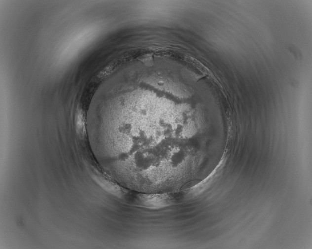 X0000112770191200909031617