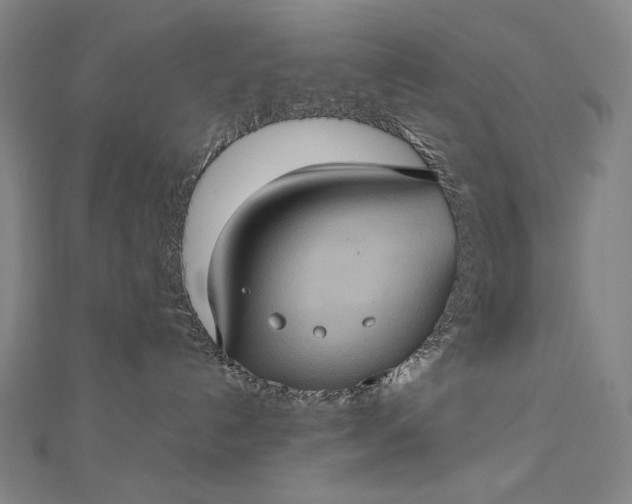 X0000112770192200909031618