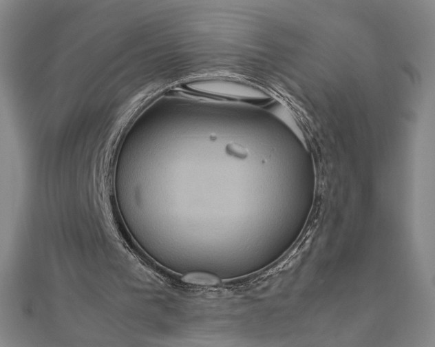 X0000112770193200909031617