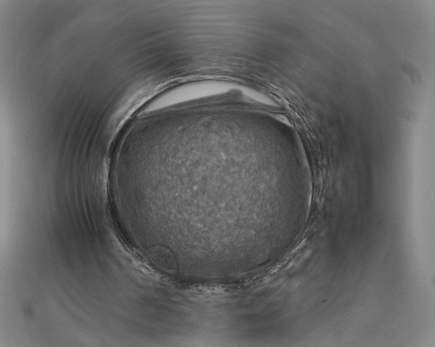 X0000112770194200909031617