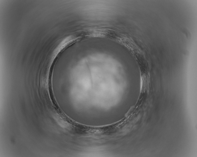 X0000112770195200909031617