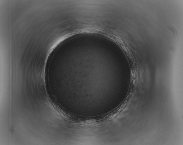 X0000112770196200909031617