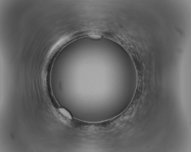 X0000112770197200909031617