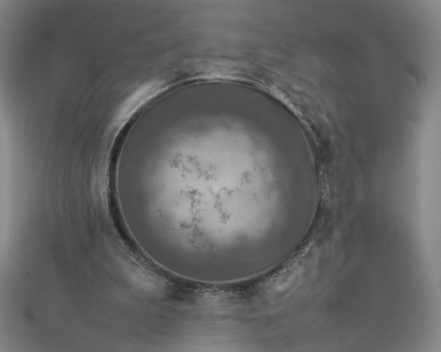 X0000112770199200909031617