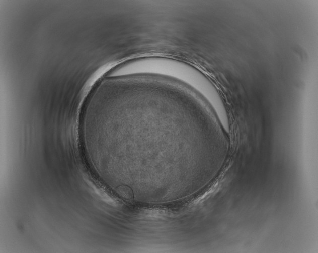 X0000112770200200909031617