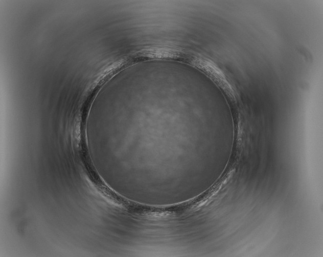 X0000112770202200909031617