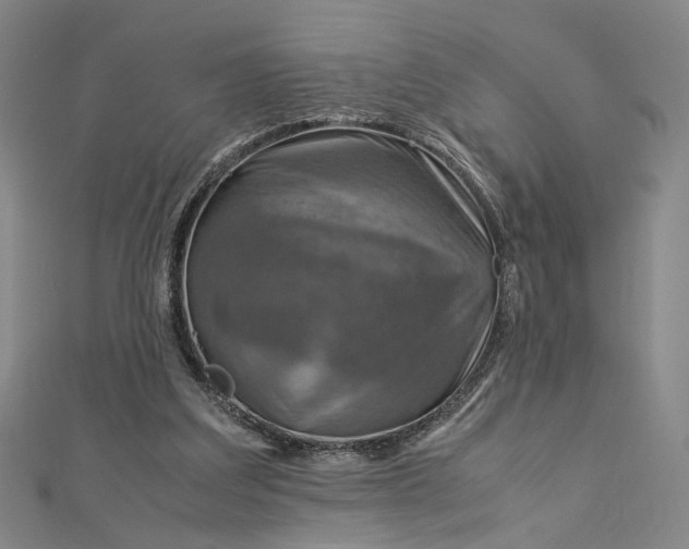 X0000112770203200909031617