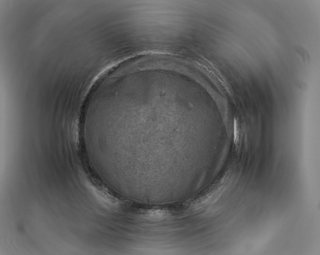 X0000112770204200909031617