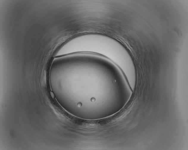 X0000112770205200909031617