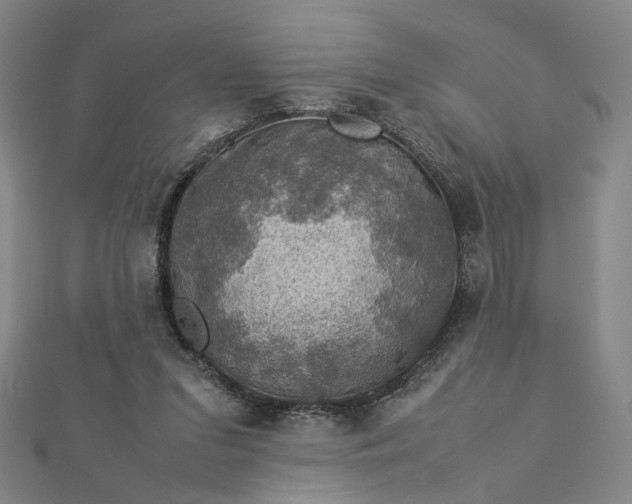 X0000112770207200909031617