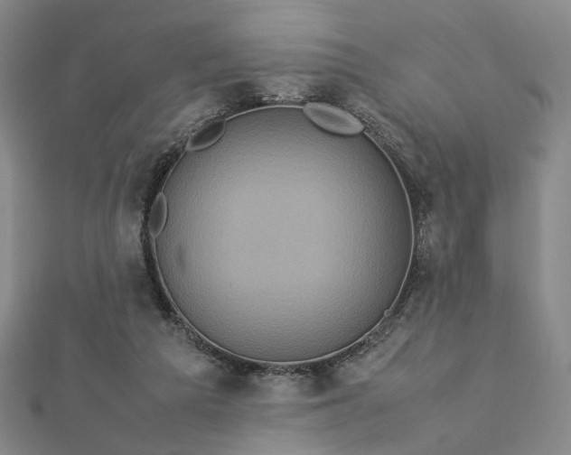 X0000112770209200909031617